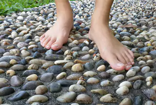 The Lutyens Luxury Flats Project By MDB Group - Landran-Banur Road, Banur, Mohali